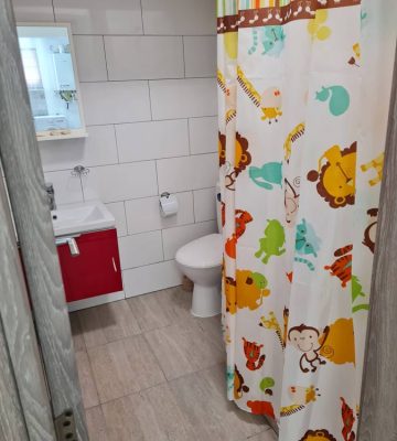 apartament-inchiriat-iasi-5